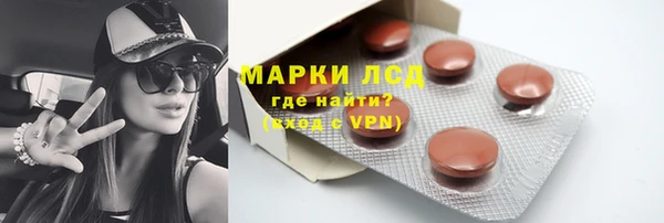 индика Лагань