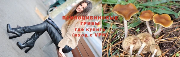 бутират Лабытнанги