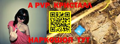 a pvp Гусев
