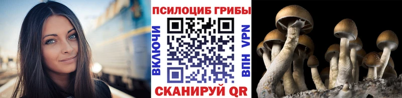 купить закладку  Красноуфимск  даркнет как зайти  Галлюциногенные грибы Magic Shrooms 