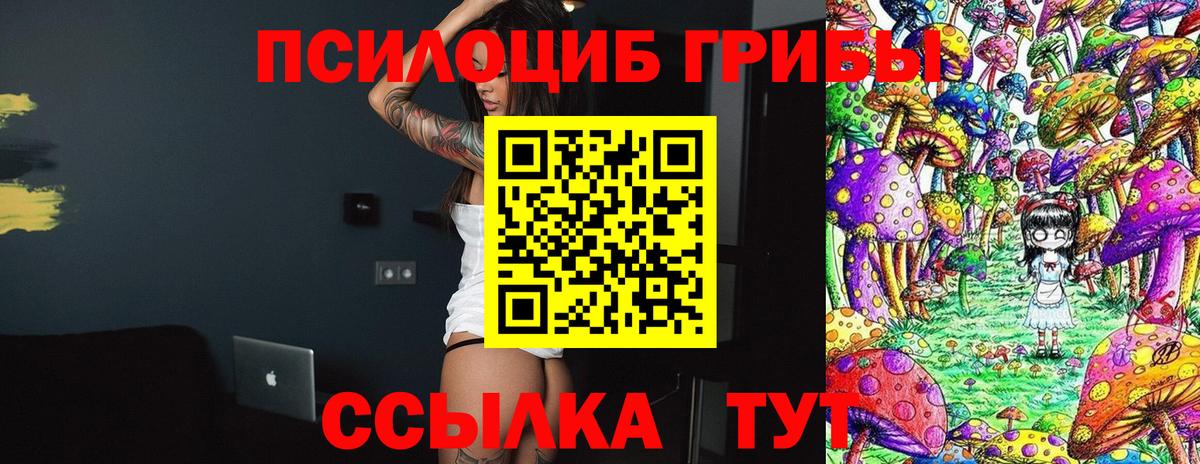 даркнет сайт  Красноуфимск  Псилоцибиновые грибы MAGIC MUSHROOMS 