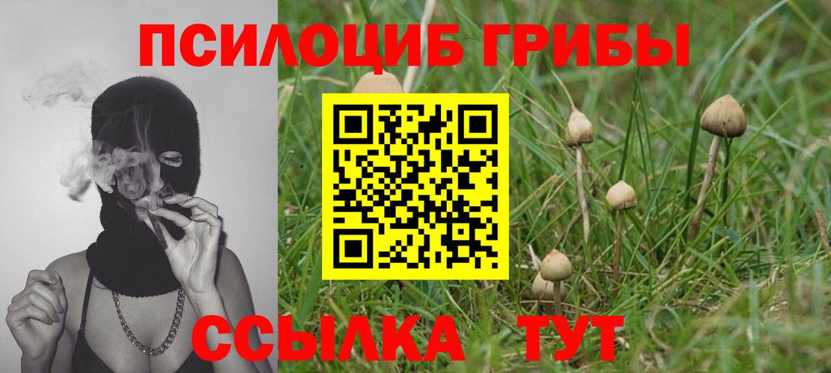 Красноуфимск  Псилоцибиновые грибы MAGIC MUSHROOMS  Вход с VPN 